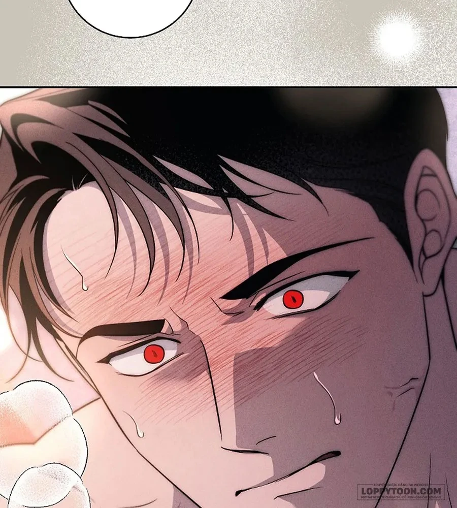 Mộ Thiên Nga Chapter 41 - 64