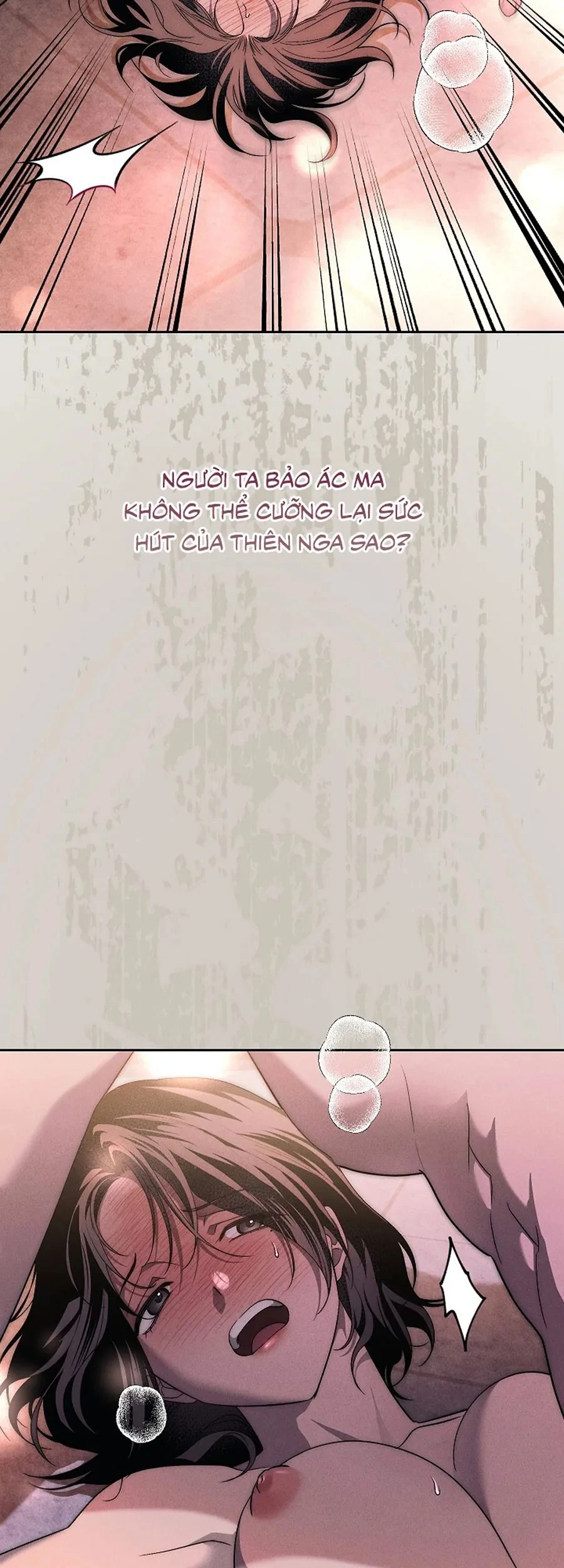 Mộ Thiên Nga Chapter 41 - 72
