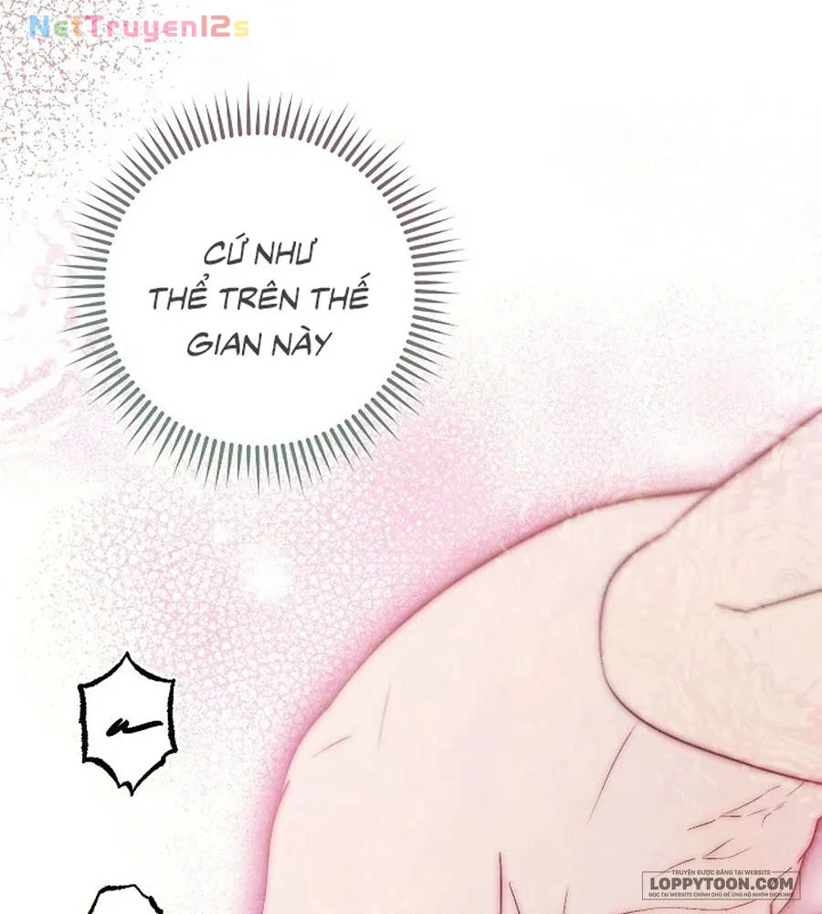 Mộ Thiên Nga Chapter 41 - 77