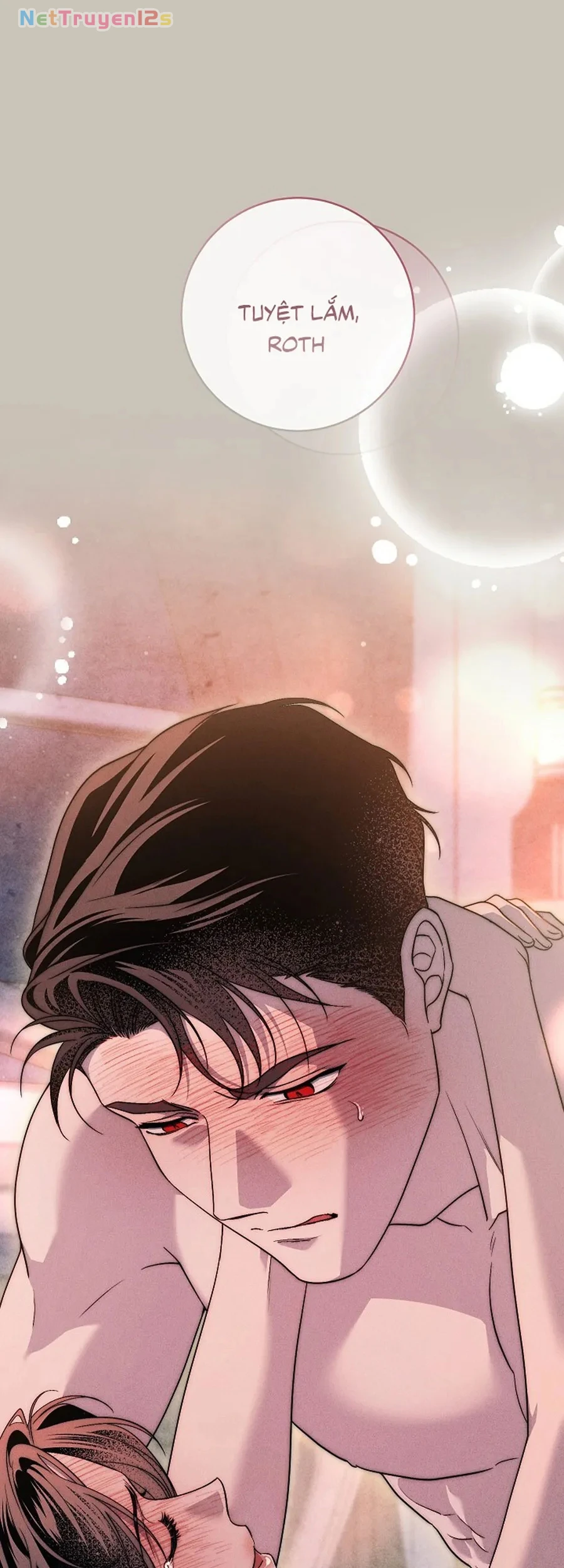 Mộ Thiên Nga Chapter 41 - 80