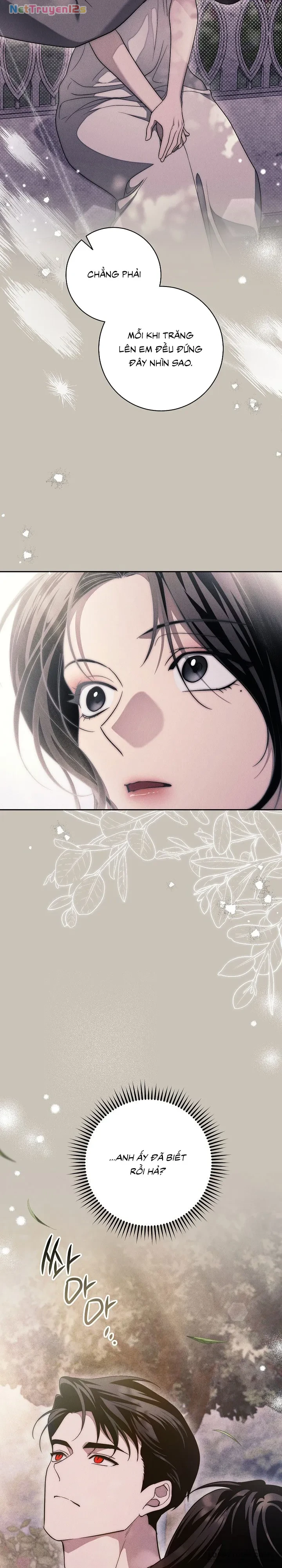 Mộ Thiên Nga Chapter 42 - 38