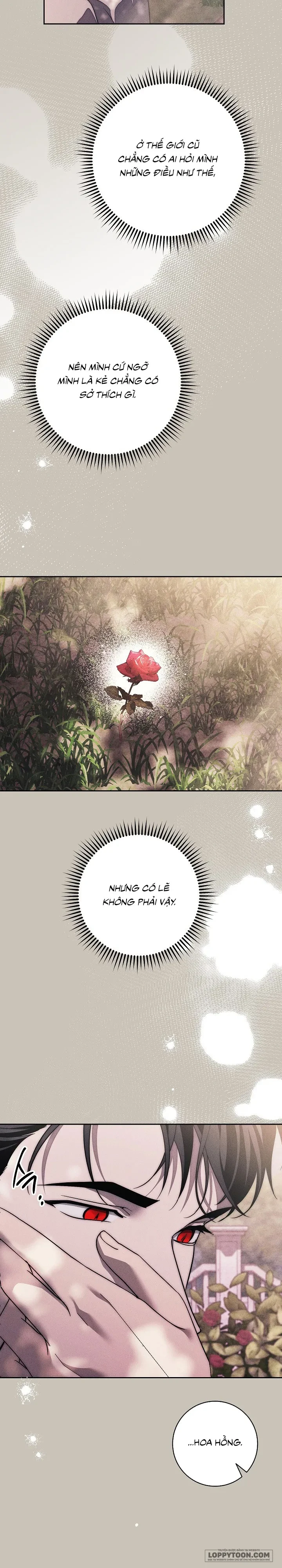 Mộ Thiên Nga Chapter 42 - 42