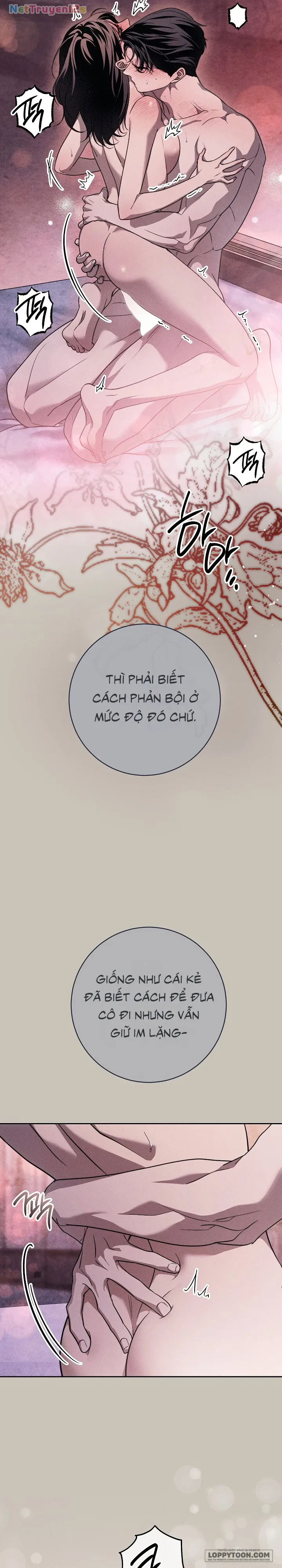 Mộ Thiên Nga Chapter 43 - 8