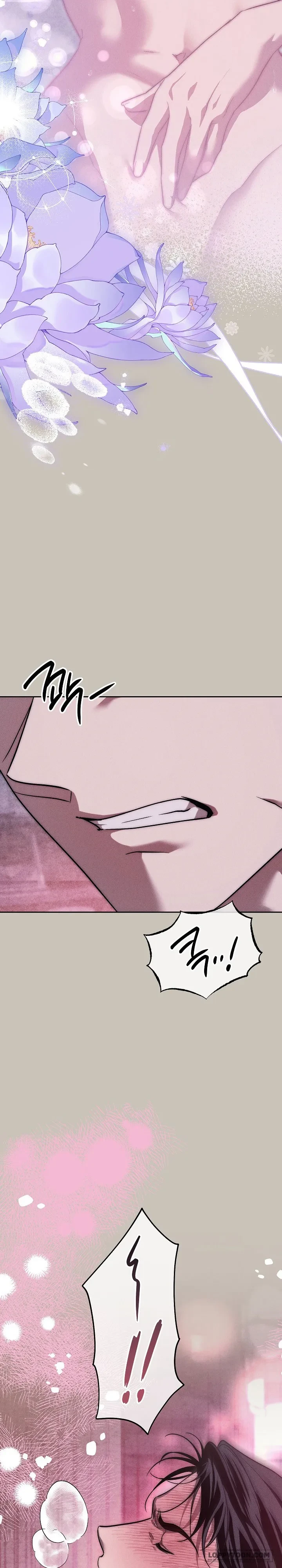Mộ Thiên Nga Chapter 43 - 11