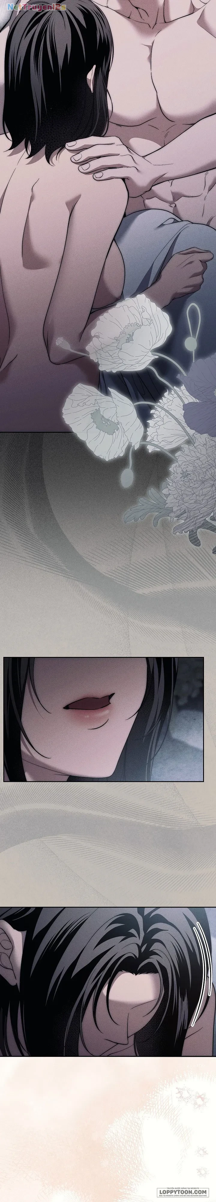Mộ Thiên Nga Chapter 43 - 27