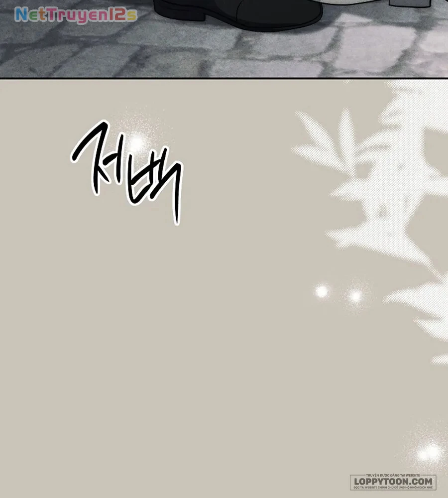 Mộ Thiên Nga Chapter 44 - 44