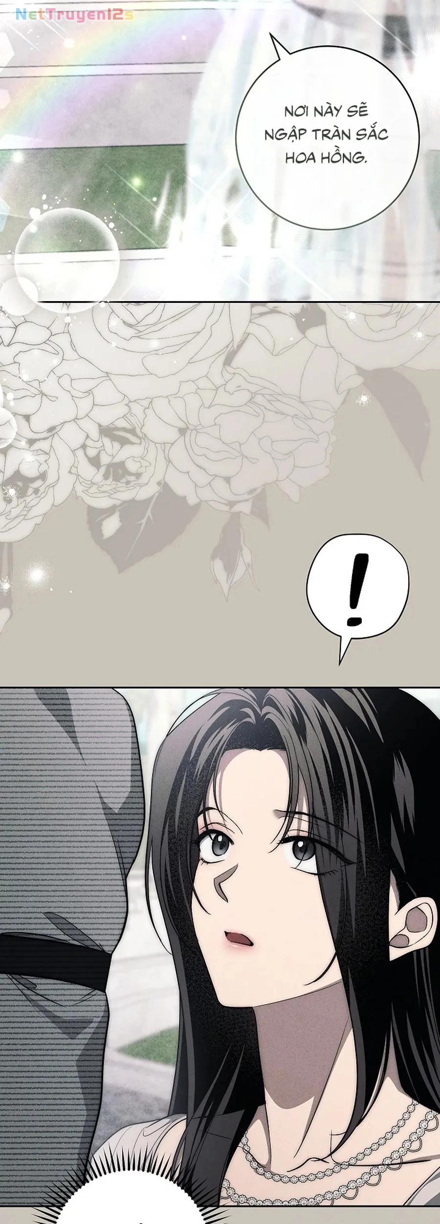 Mộ Thiên Nga Chapter 44 - 55