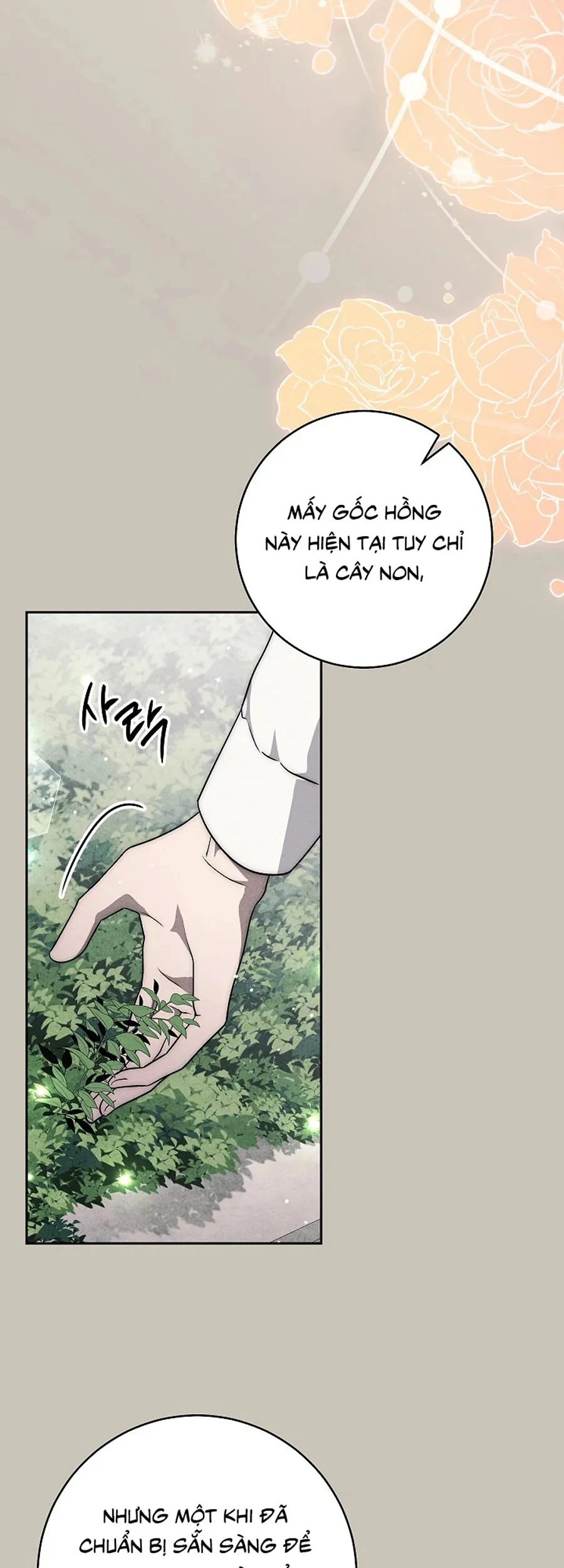 Mộ Thiên Nga Chapter 44 - 59
