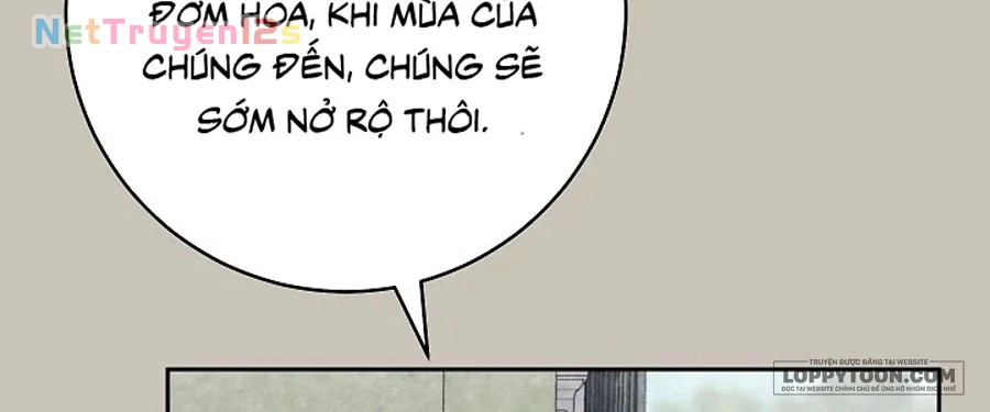 Mộ Thiên Nga Chapter 44 - 60