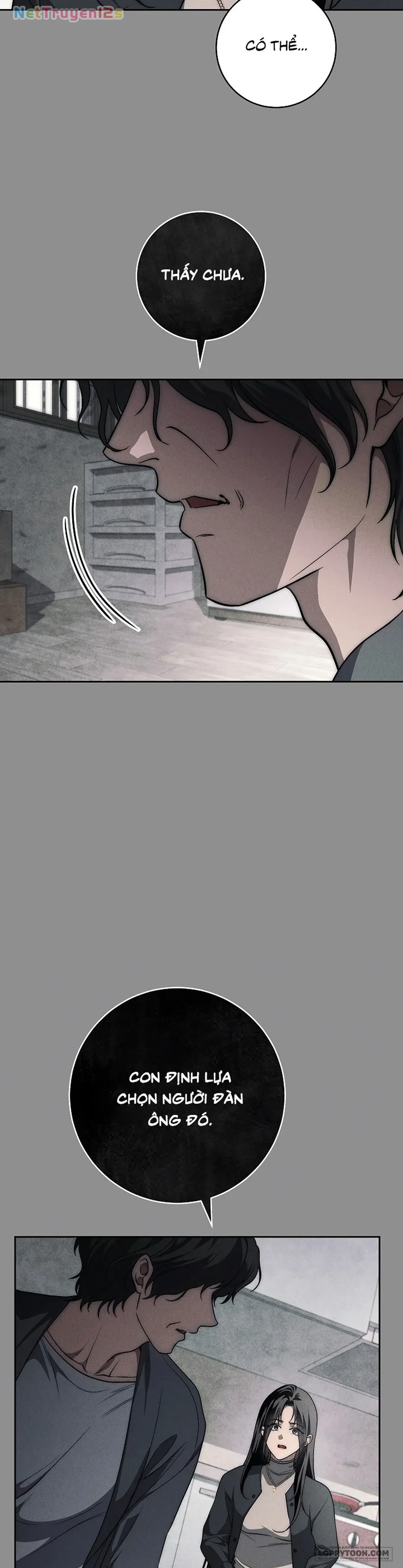 Mộ Thiên Nga Chapter 45 - 13