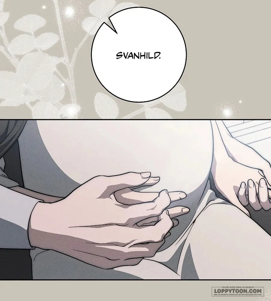 Mộ Thiên Nga Chapter 45 - 29