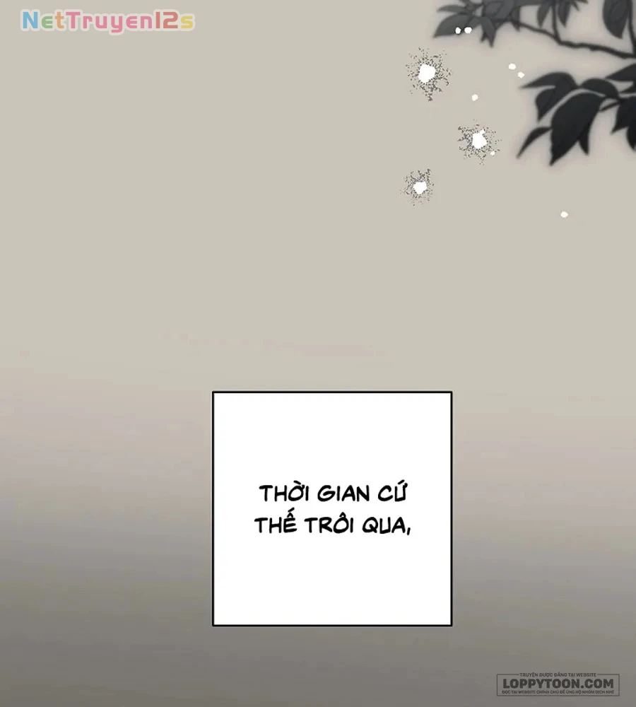 Mộ Thiên Nga Chapter 45 - 74