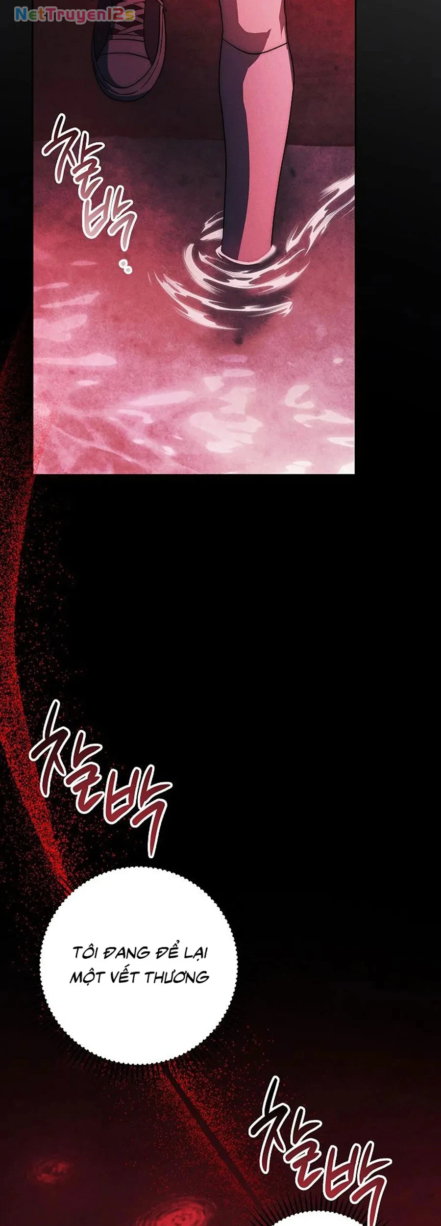 Mộ Thiên Nga Chapter 46 - 29