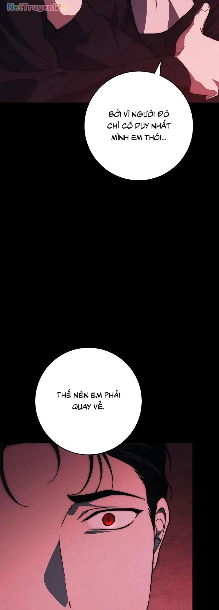 Mộ Thiên Nga Chapter 46 - 50