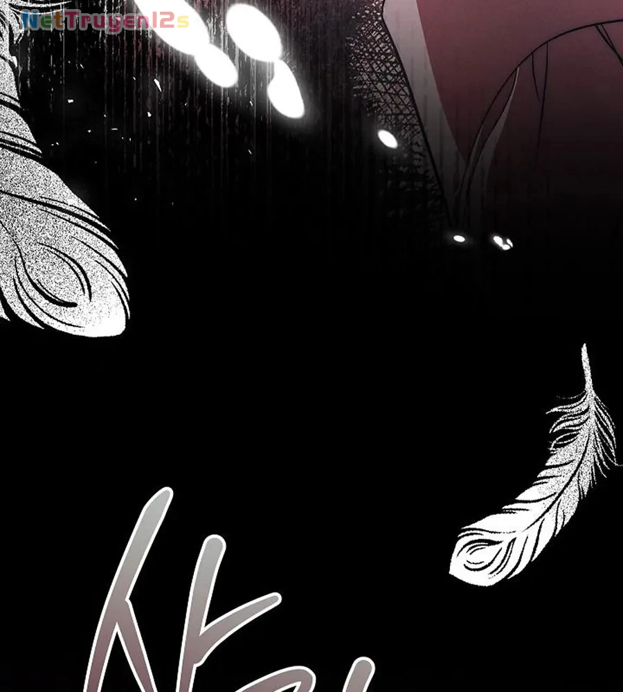 Mộ Thiên Nga Chapter 46 - 57