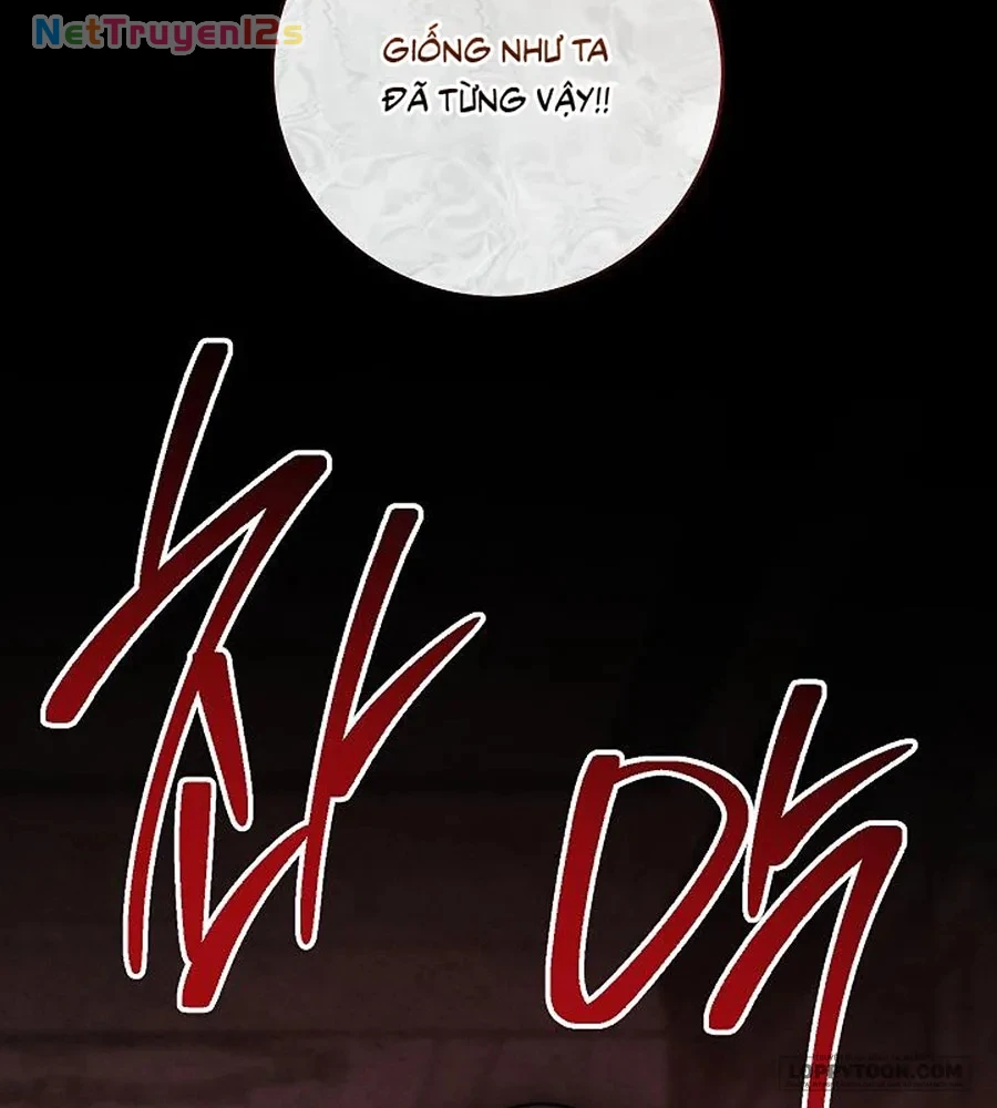 Mộ Thiên Nga Chapter 47 - 34