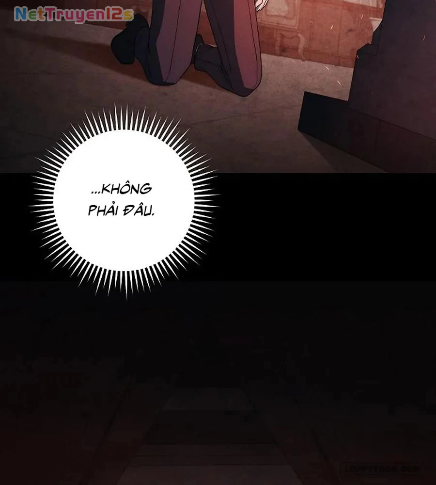 Mộ Thiên Nga Chapter 47 - 40