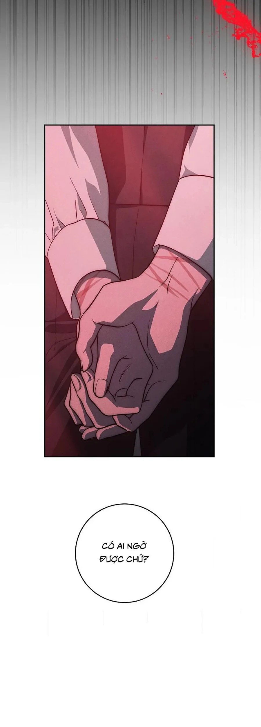 Mộ Thiên Nga Chapter 47 - 52