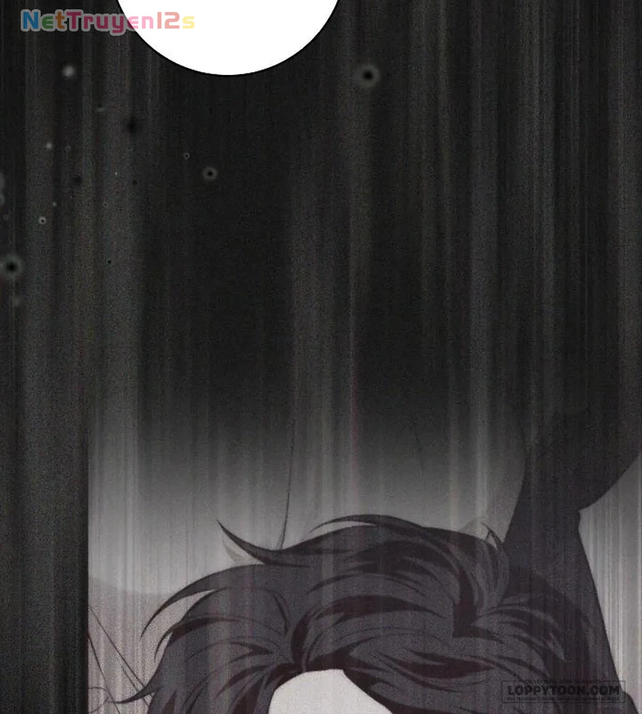 Mộ Thiên Nga Chapter 47 - 56