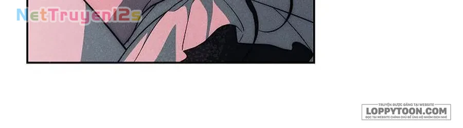 Mộ Thiên Nga Chapter 47 - 63