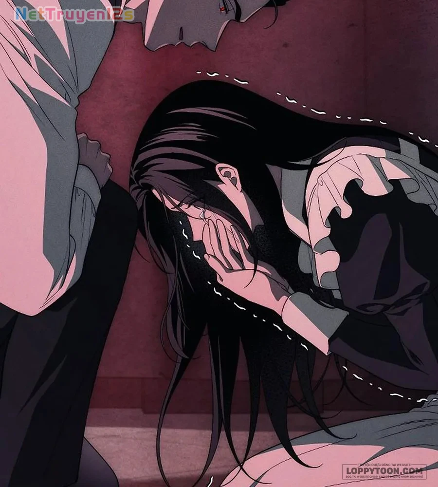 Mộ Thiên Nga Chapter 47 - 66