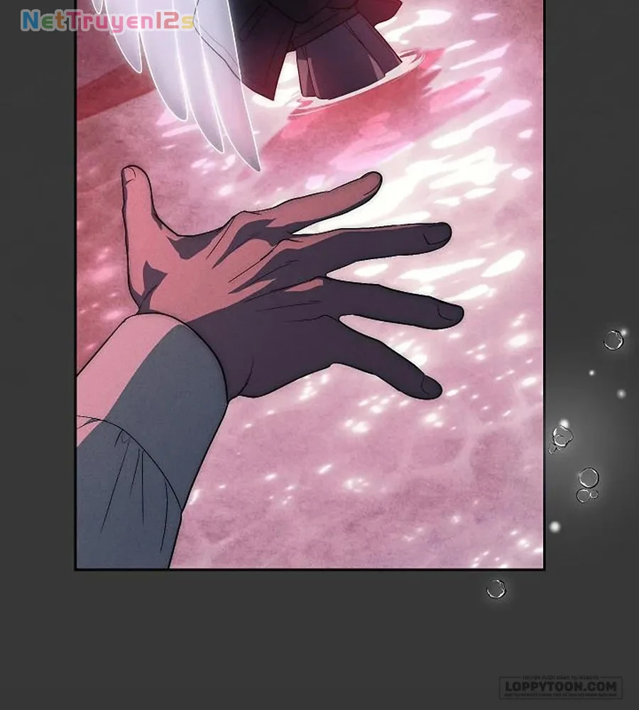 Mộ Thiên Nga Chapter 47 - 69