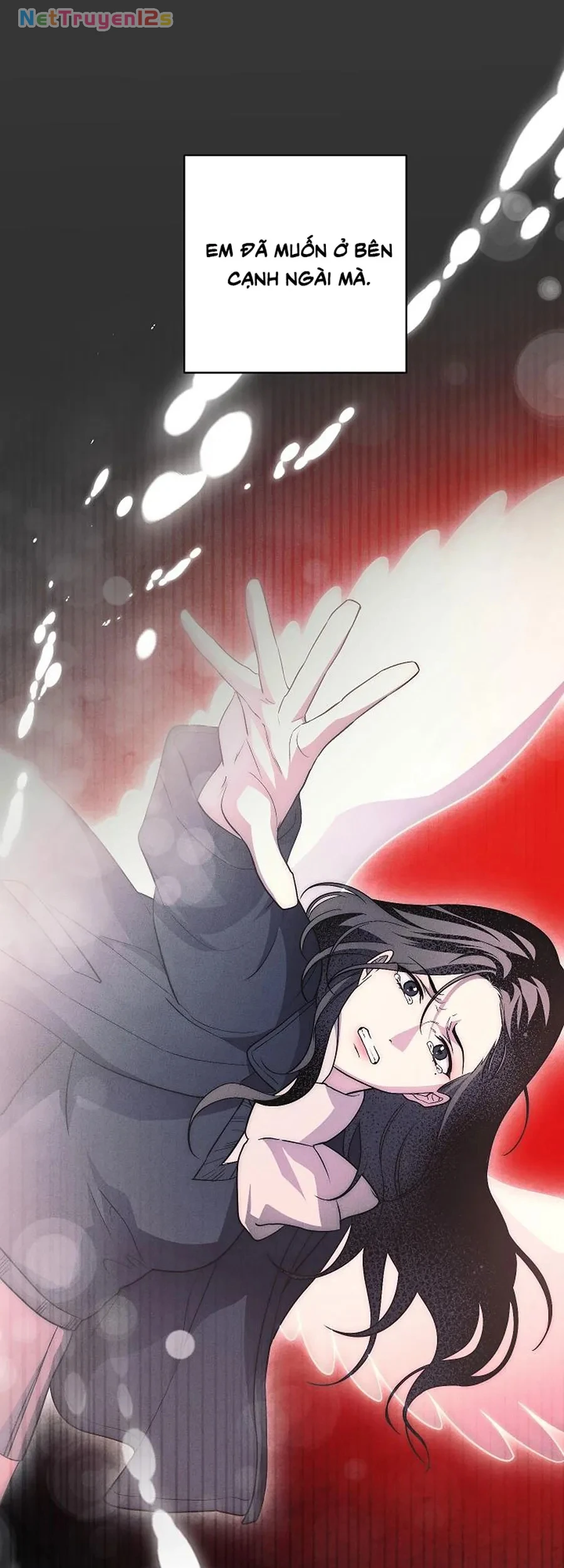 Mộ Thiên Nga Chapter 47 - 70