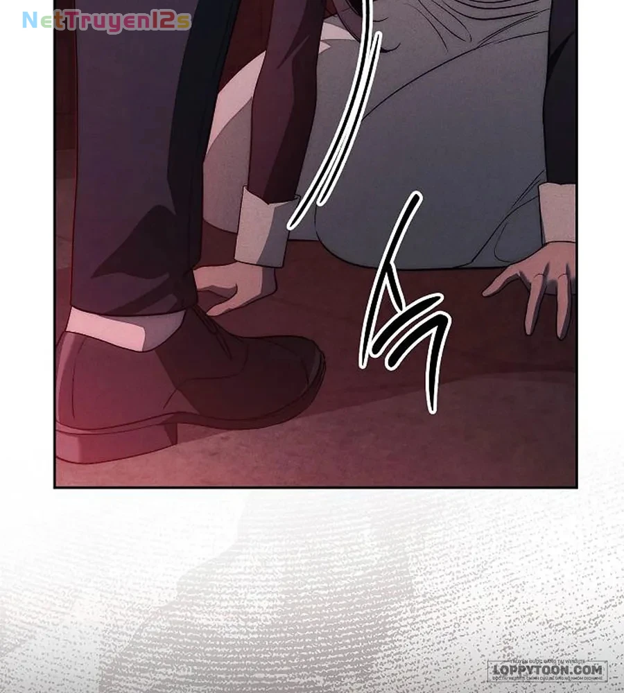 Mộ Thiên Nga Chapter 47 - 85