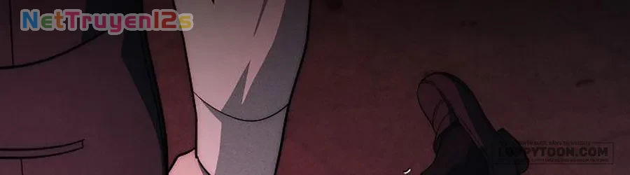 Mộ Thiên Nga Chapter 47 - 95