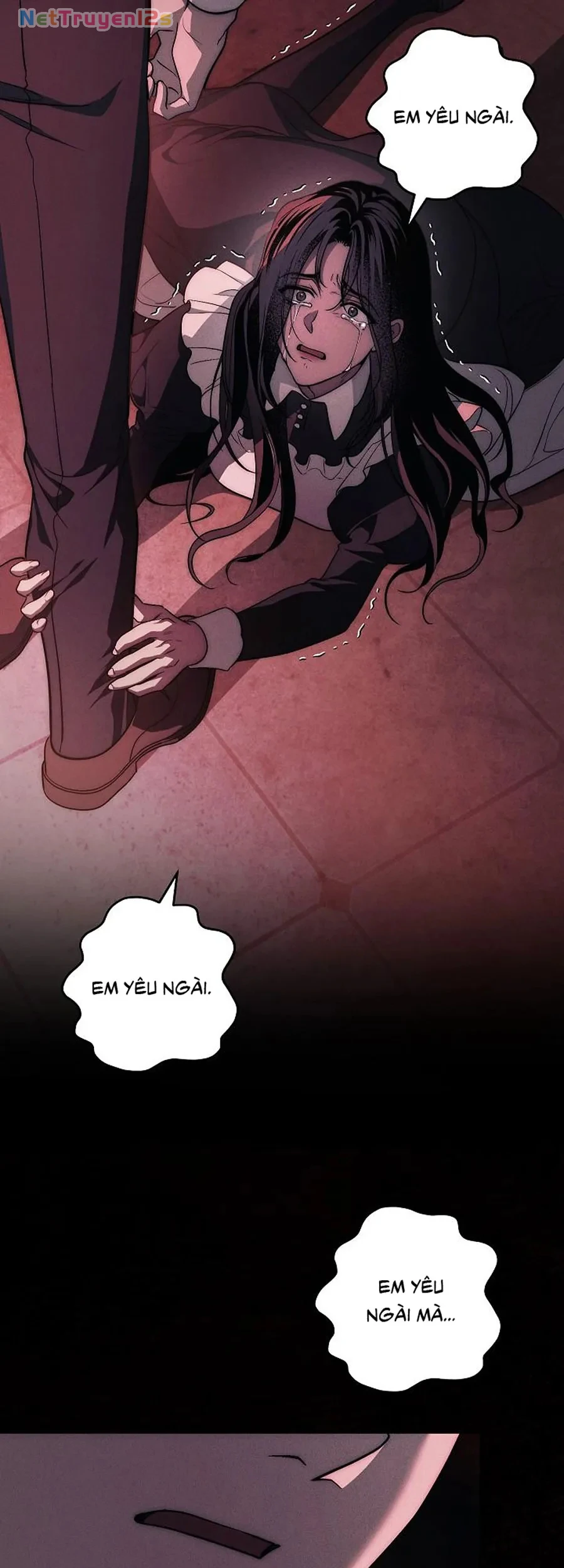 Mộ Thiên Nga Chapter 47 - 96