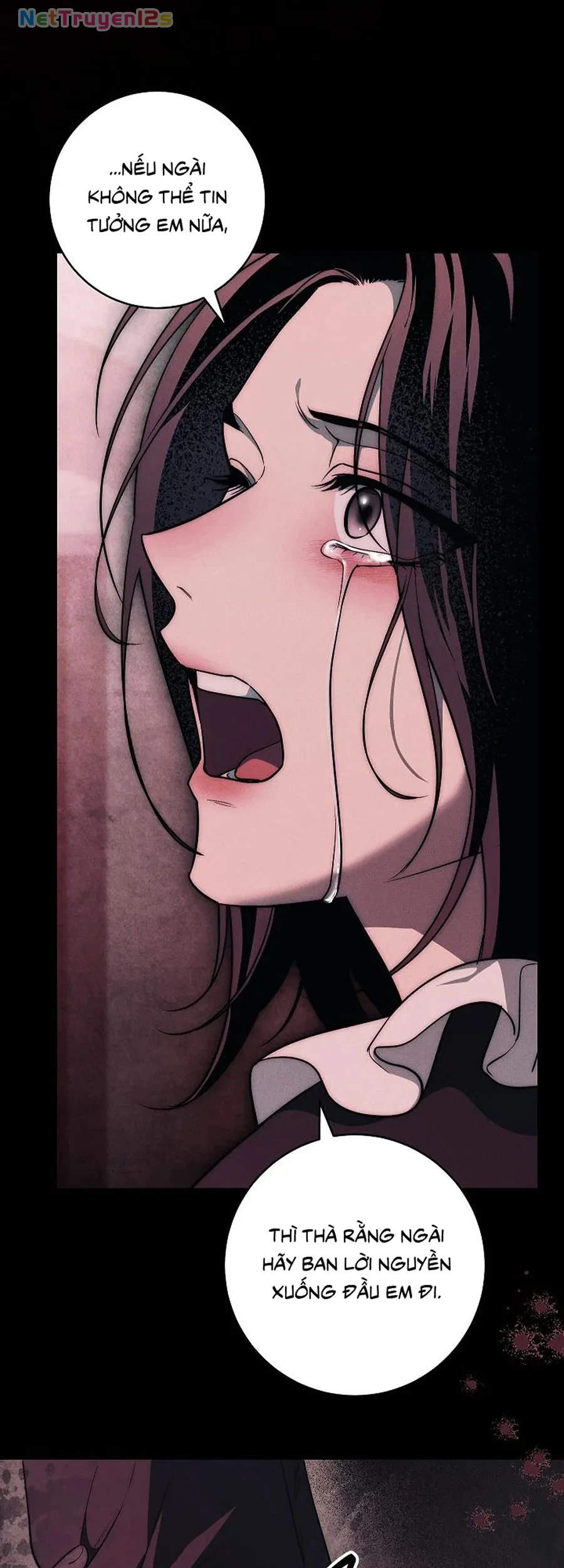 Mộ Thiên Nga Chapter 47 - 99