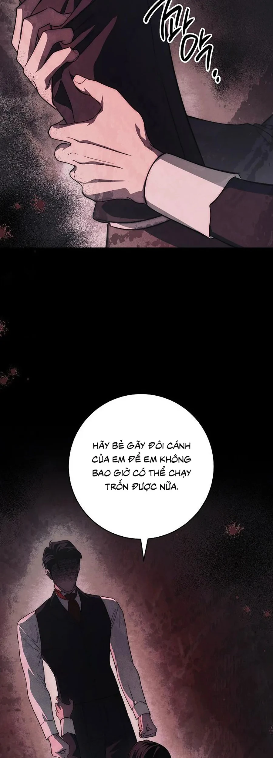 Mộ Thiên Nga Chapter 47 - 100