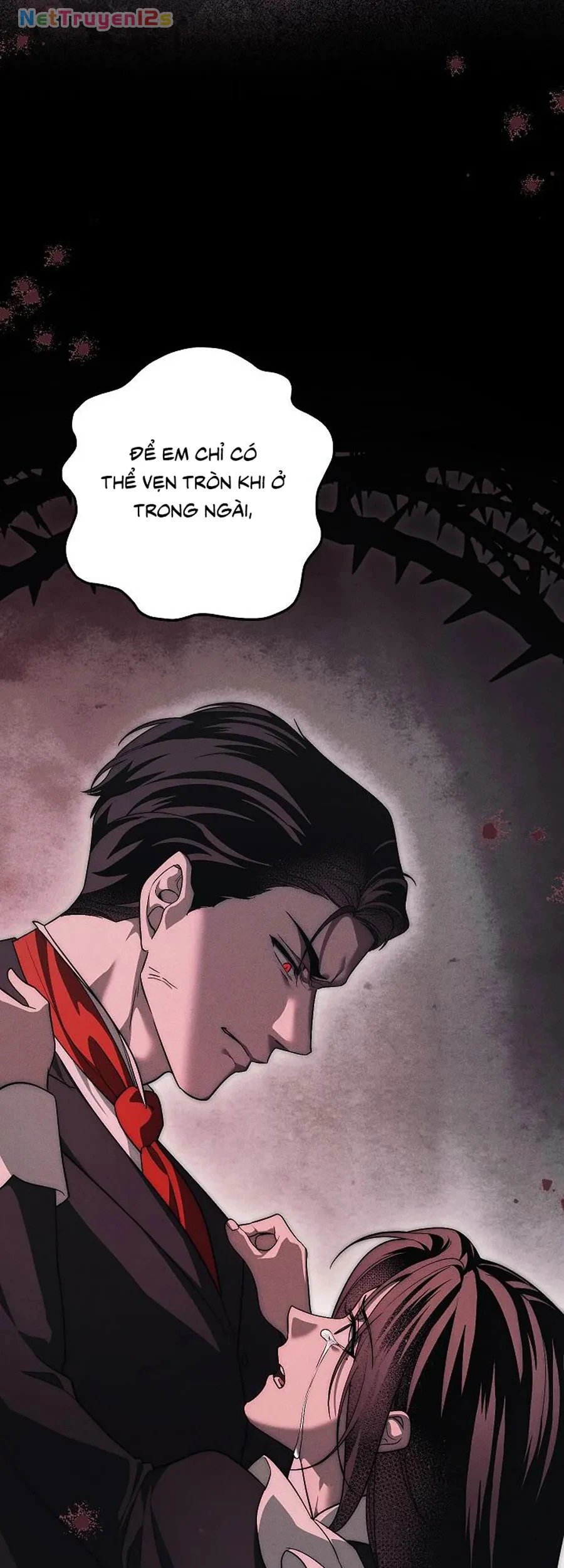 Mộ Thiên Nga Chapter 47 - 102