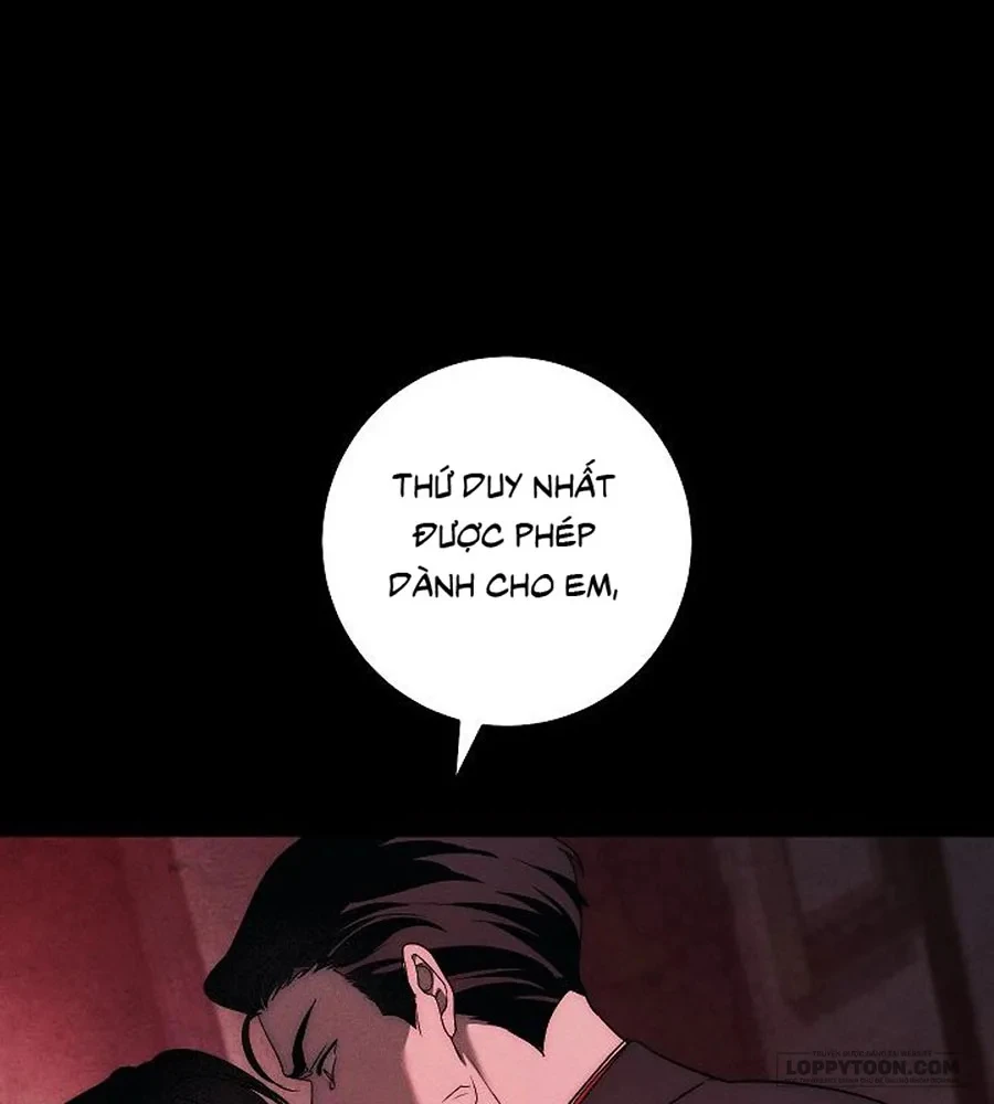 Mộ Thiên Nga Chapter 47 - 107