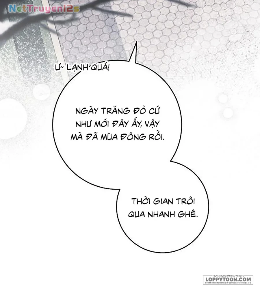 Mộ Thiên Nga Chapter 48 - 3