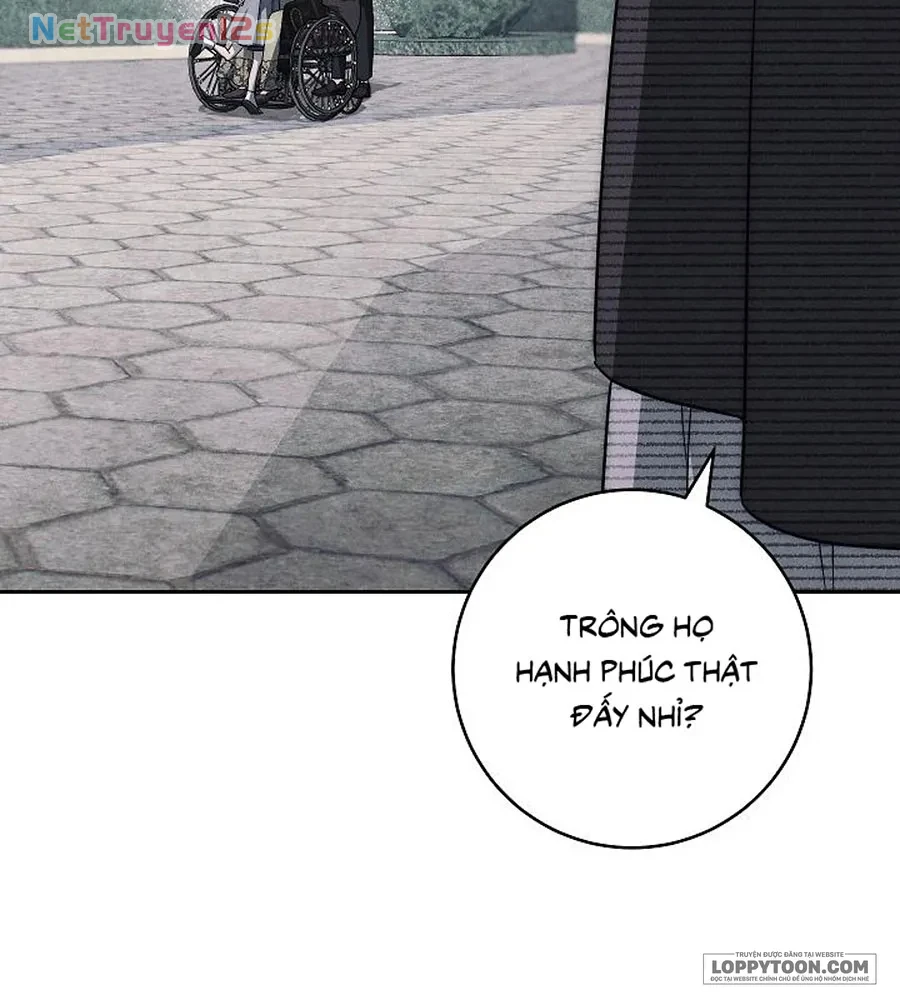 Mộ Thiên Nga Chapter 48 - 19