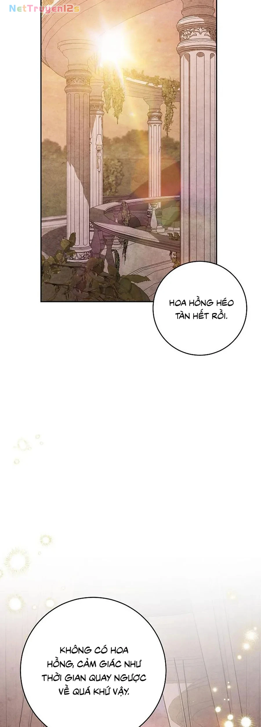 Mộ Thiên Nga Chapter 48 - 34