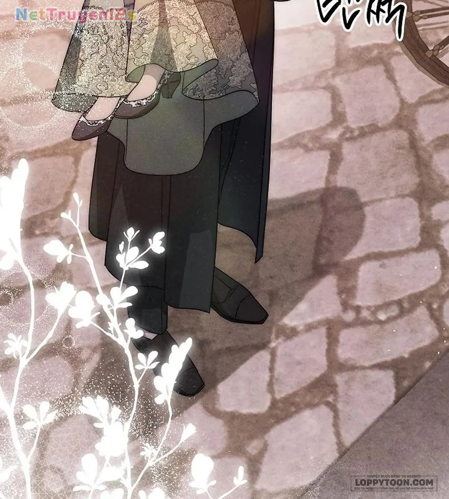 Mộ Thiên Nga Chapter 48 - 47