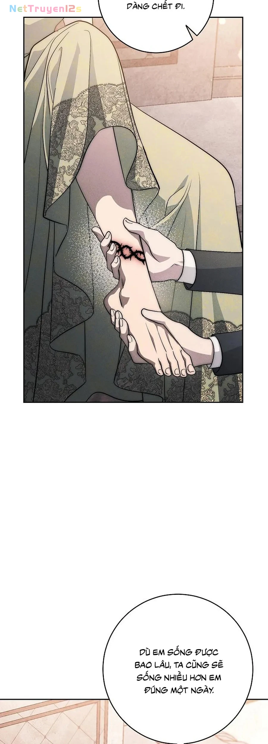 Mộ Thiên Nga Chapter 48 - 56