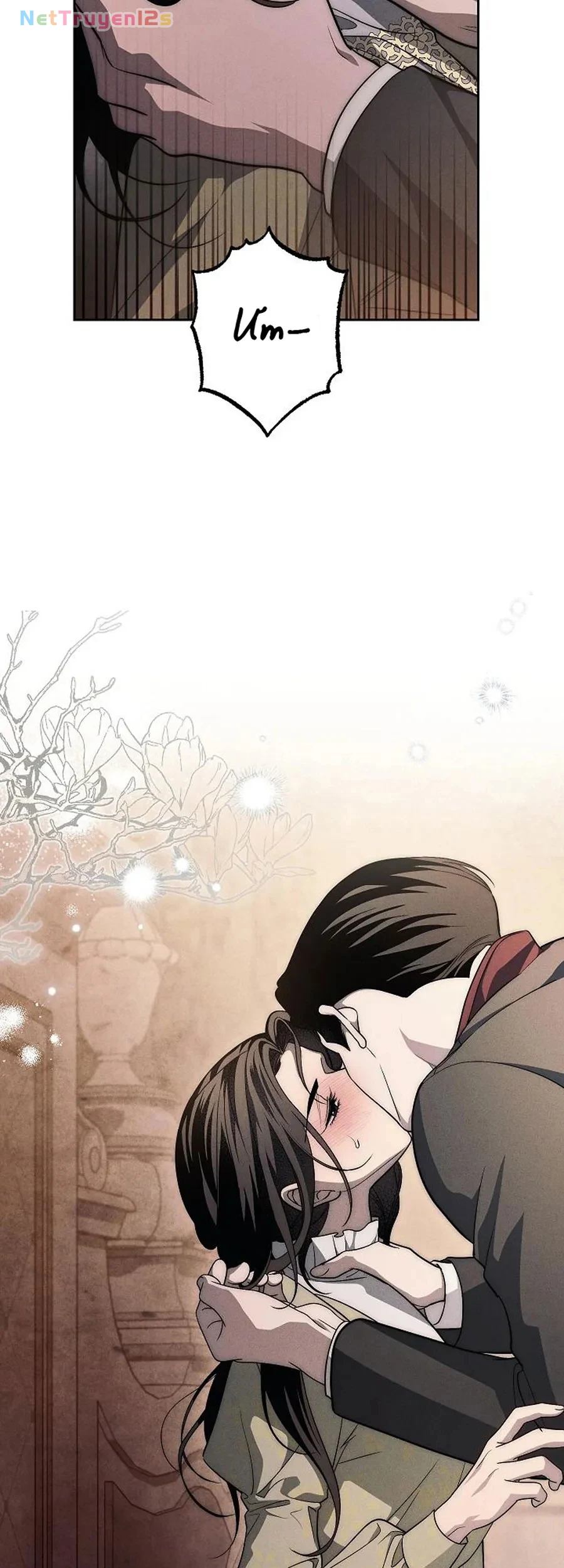Mộ Thiên Nga Chapter 48 - 65