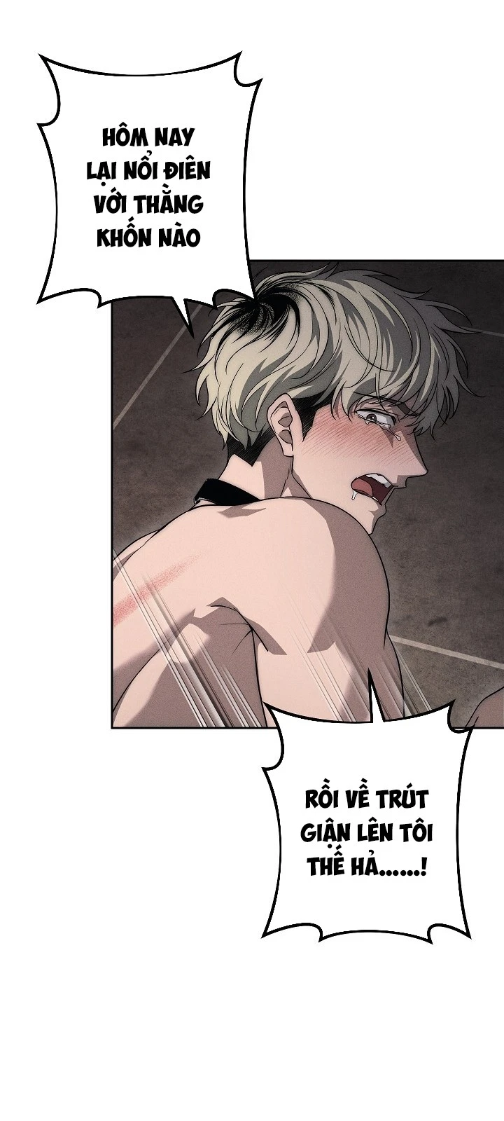 Mộ Thiên Nga Chapter  52 - 28