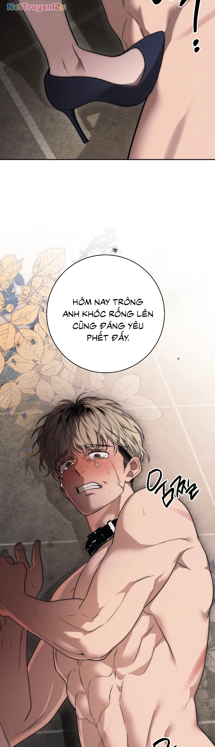 Mộ Thiên Nga Chapter  52 - 35