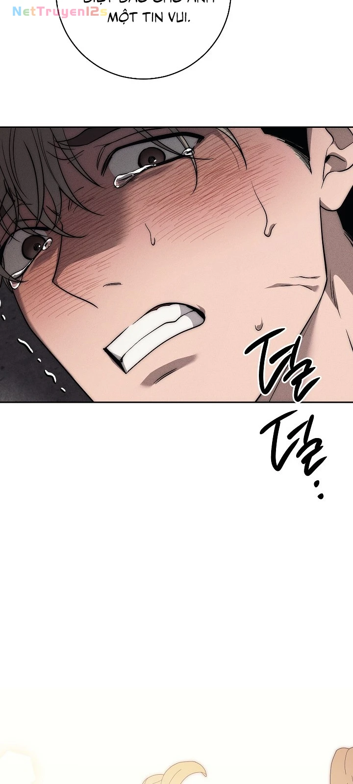 Mộ Thiên Nga Chapter  52 - 37