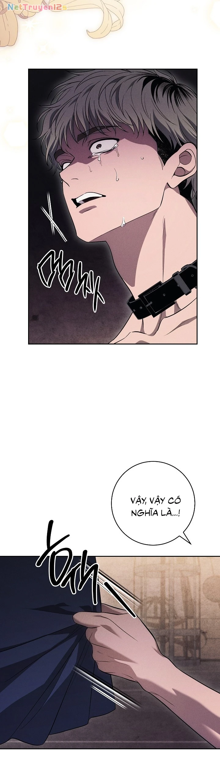 Mộ Thiên Nga Chapter  52 - 39