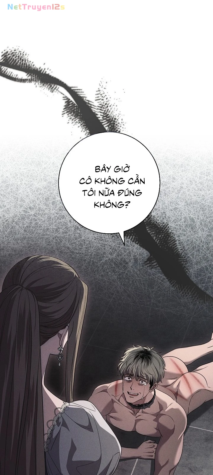 Mộ Thiên Nga Chapter  52 - 40