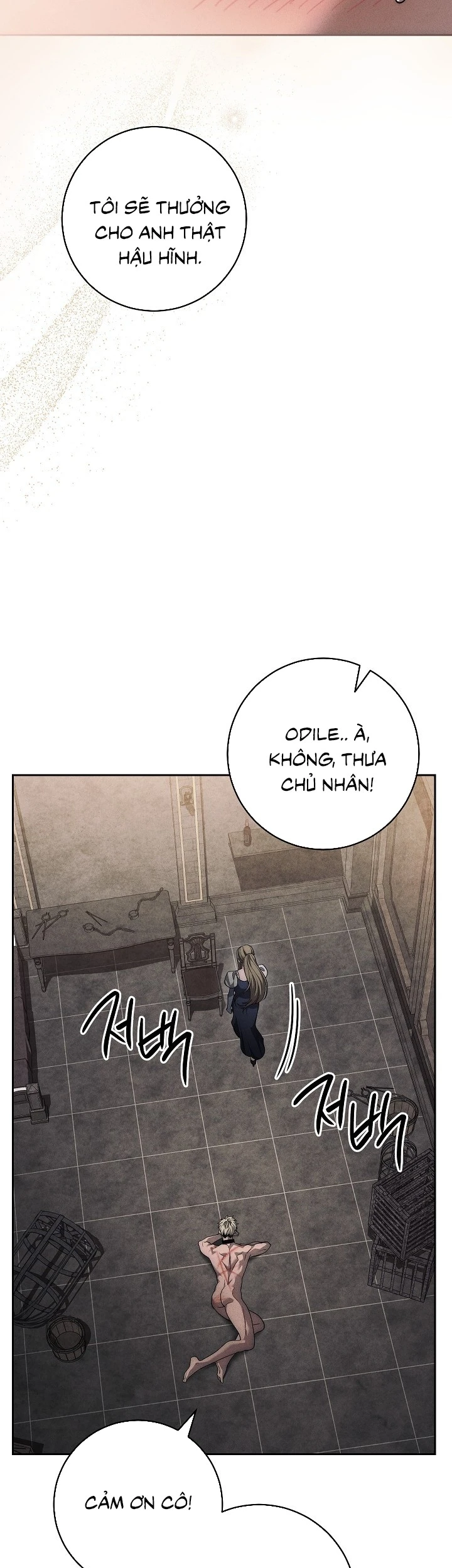Mộ Thiên Nga Chapter  52 - 44