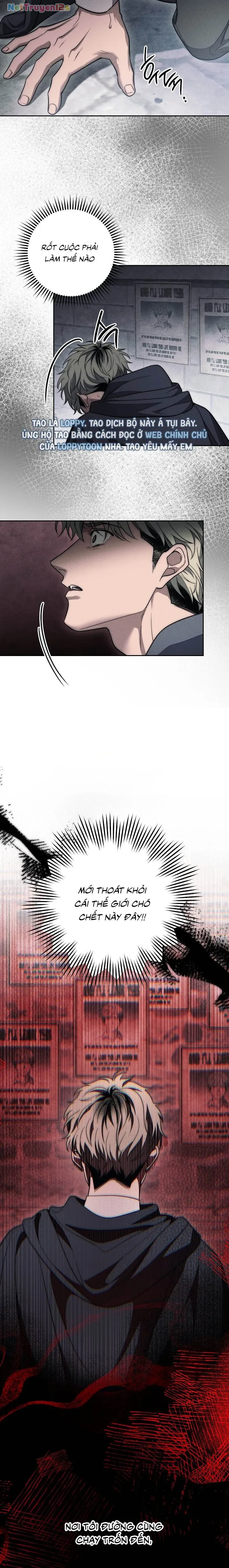 Mộ Thiên Nga Chapter 54 - 15