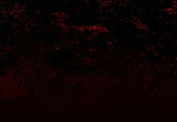 Vùng Đất Khắc Kỷ Chapter 1 - 27