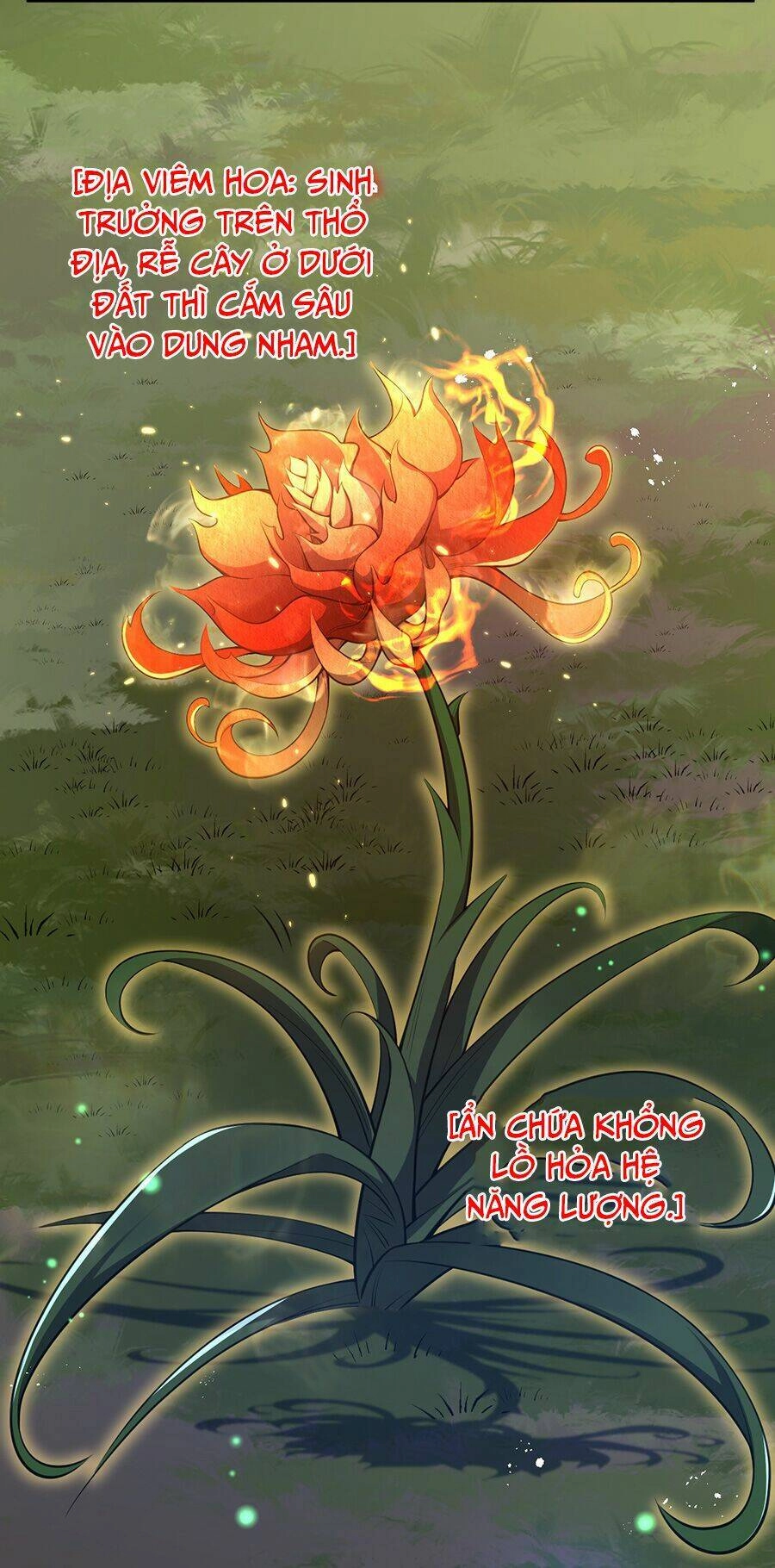 Hệ Thống Mô Phỏng Linh Sủng Chapter 13 - 37