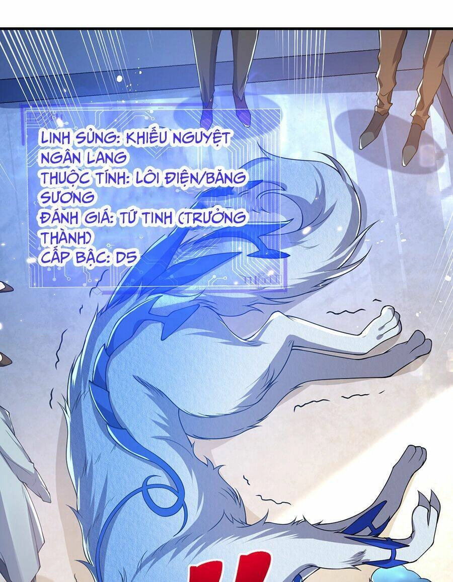 Hệ Thống Mô Phỏng Linh Sủng Chapter 23 - 10